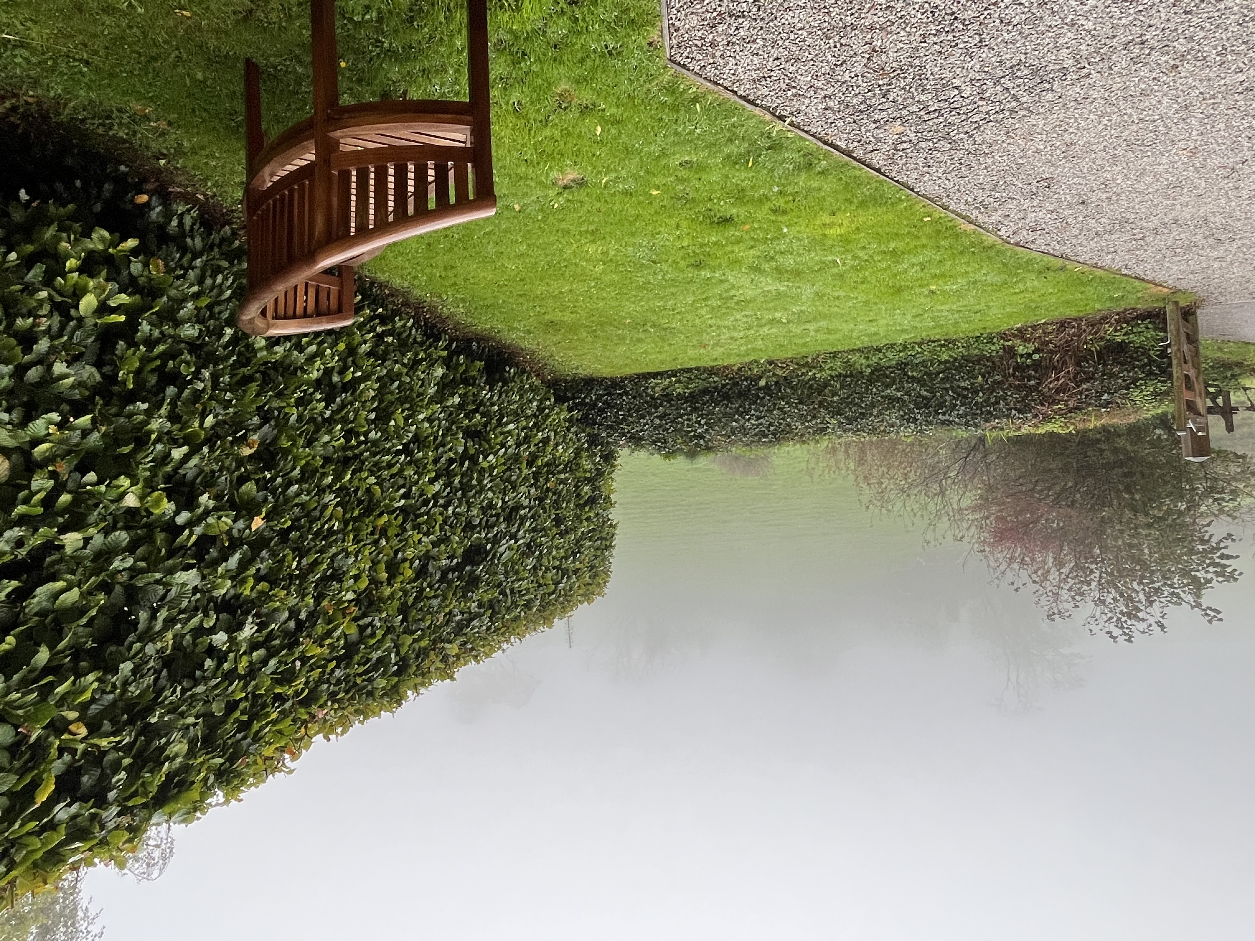 Judith Morris in nature writing her memoir, Stepping out of Silence