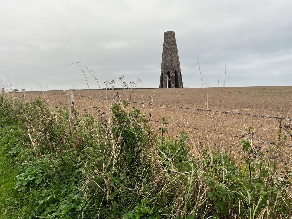 Judith Morris in nature writing her memoir, Stepping out of Silence